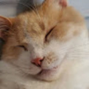 Meet your Posher, Jillian